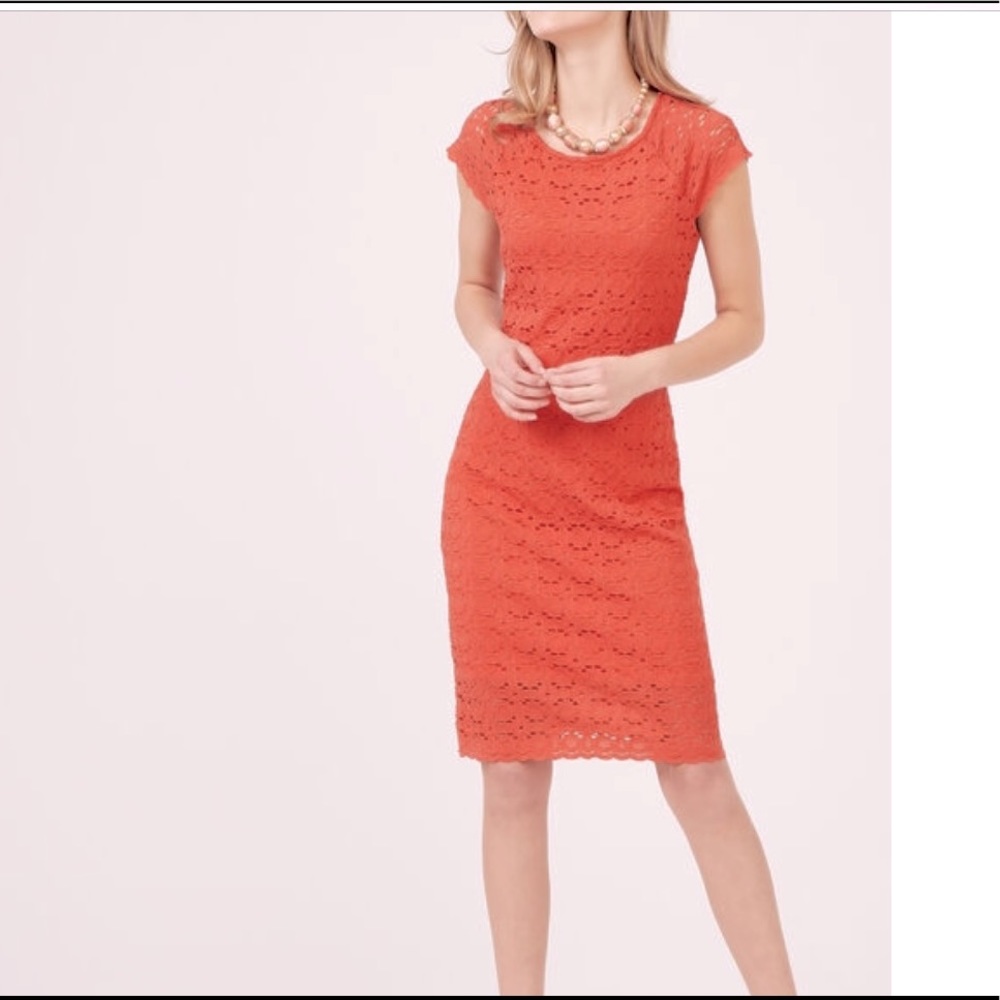 stretch Lace sheath (pull on style) rich apricot peach color, approx knee Length